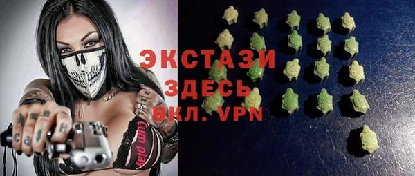 хмурый Алексин