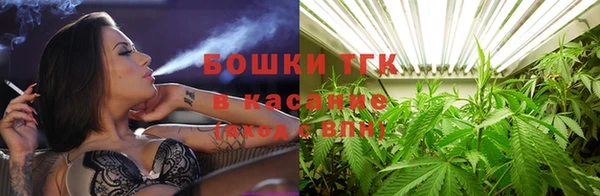 твердый Алексеевка