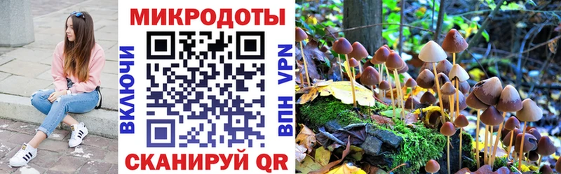 Псилоцибиновые грибы Psilocybine cubensis Тбилисская